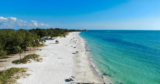Best Snorkeling on Anna Maria Island Florida: Guide