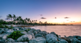 14 Best Things to Do When You Visit Key West in August