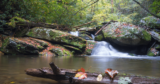 The Best Time to Visit North Carolina in 2023