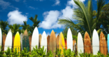 13 Best Surfing Yoga Retreats in 2023 (Worldwide)