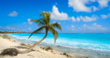 The Perfect Cancun 7 Days Itinerary: 23 Best Things to Do