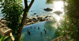 5 Best Raw Food Wellness Retreats in 2023