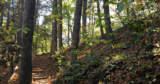 Best Electrolyte for Hiking: Vegan Electrolytes