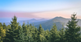 5 Best Yoga Retreats in the NC Mountains 2023