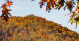 13 Best Hikes in Shenandoah Park for Fall Foliage
