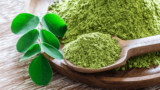 11 Top Plant Based Superfoods for Healing